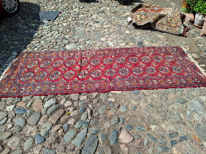 Explore our collection of premium Bokhara runners! Dive into the luxurious feel of our 280x95cm runner on a vibrant red ground. Shop now for unmatchable quality.