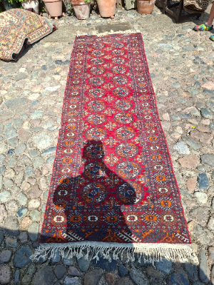 Explore our collection of premium Bokhara runners! Dive into the luxurious feel of our 280x95cm runner on a vibrant red ground. Shop now for unmatchable quality.