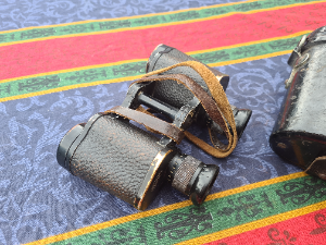 Discover our range of authentic WW2 Dienstglas 6x30 Binoculars by Carl Zeiss Jena. In good condition with clear lenses. Shop now to own a piece of German army history.