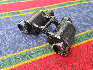 WW2 Dienstglas 6x30 Binocular By [BLC] Carl Zeiss Jena