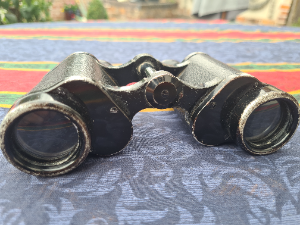 WW2 Dienstglas 6x30 Binocular By [BLC] Carl Zeiss Jena