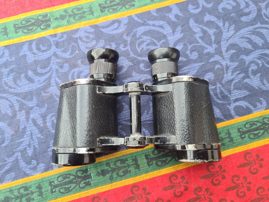 WW2 Dienstglas 6x30 Binocular By [BLC] Carl Zeiss Jena