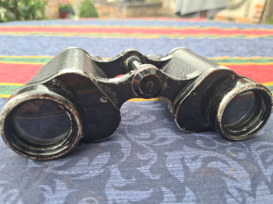 WW2 Dienstglas 6x30 Binocular By [BLC] Carl Zeiss Jena