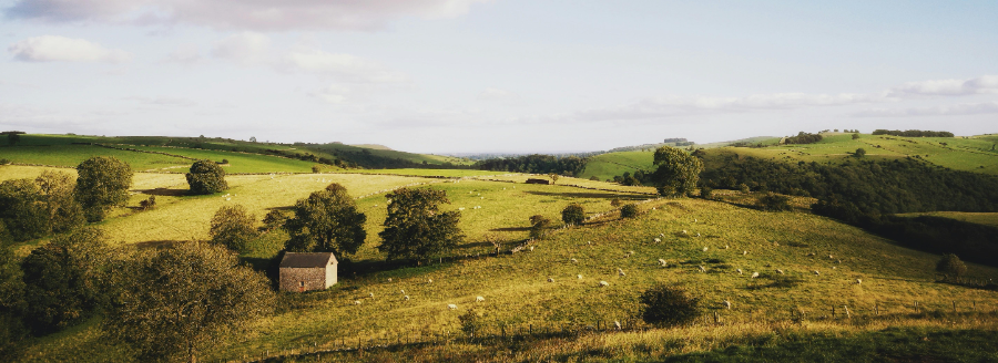 Antique dealers in Staffordshire