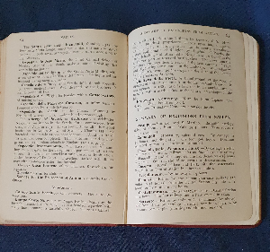 Explore Naples with our authentic 1922 guide book. Packed with intriguing facts, maps, and vintage ads! It's more than just a read, it's your perfect travel companion. Order Now!