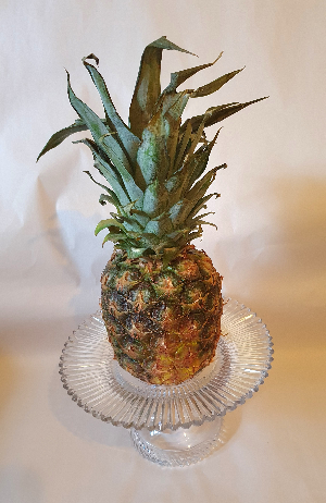 Explore our collection of rare Georgian period Pineapple stands, signifying wealth! Shop now and add a 200-year-old Prism Cut treasure to your collection. Don't miss out!