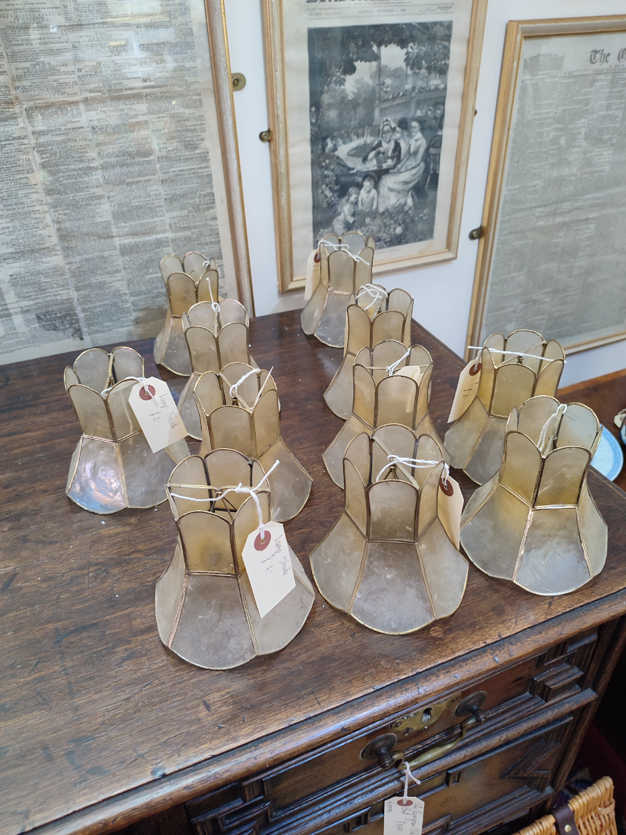 Discover our range of eleven unique wall light lamp shades. Perfect for any home, these quality shades offer style and functionality. Browse now and beautify your space!