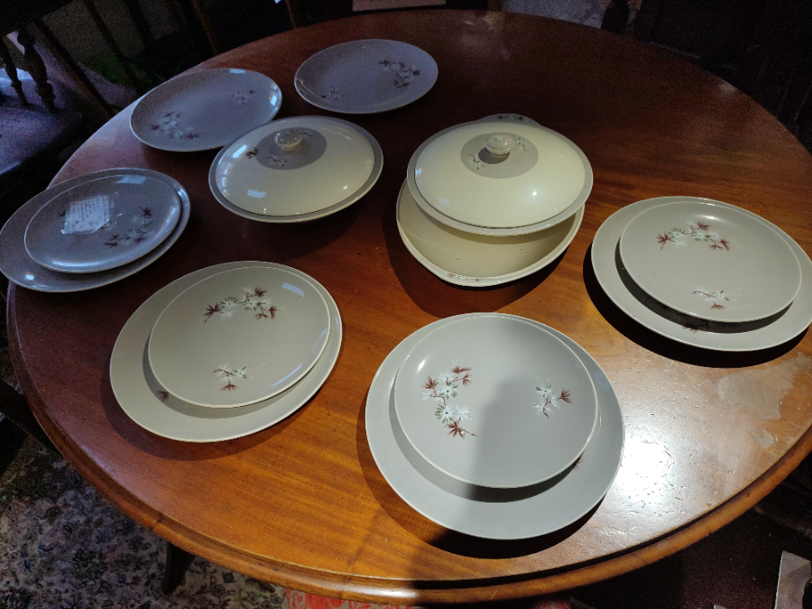 Discover Royal Doulton's 'Frost Pine' dinner set! Includes 15 pieces to elevate your dining. Don't miss out, shop now to serve in style!