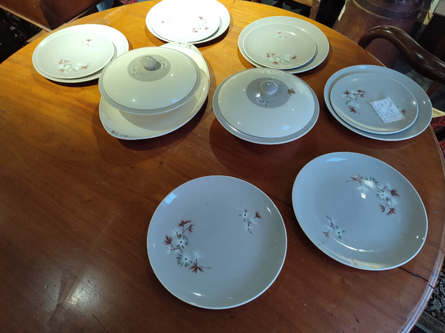 Discover Royal Doulton's 'Frost Pine' dinner set! Includes 15 pieces to elevate your dining. Don't miss out, shop now to serve in style!