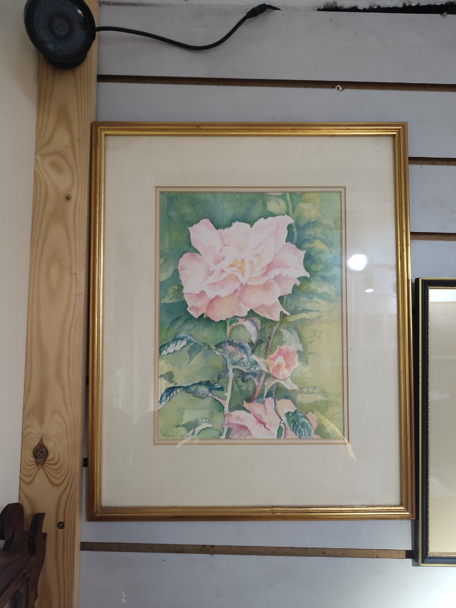 Watercolour Of A Flower By Heather Parry Young.