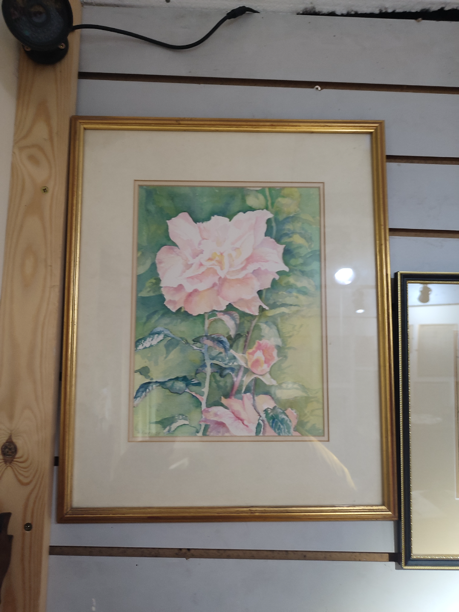 Watercolour Of A Flower By Heather Parry Young.