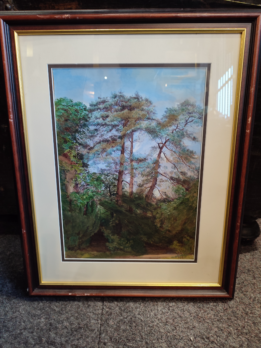 Discover our range of woodland scenes painted in delicate watercolours by skilled artists. Size: 17x21 inches. Shop now for your perfect piece of art!