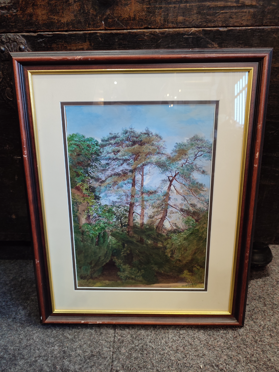 Discover our range of woodland scenes painted in delicate watercolours by skilled artists. Size: 17x21 inches. Shop now for your perfect piece of art!