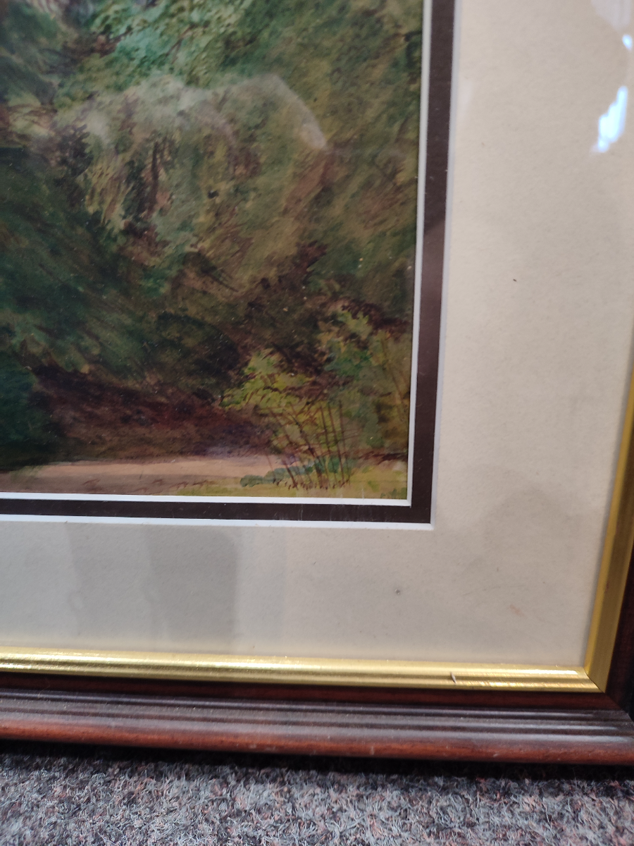 Discover our range of woodland scenes painted in delicate watercolours by skilled artists. Size: 17x21 inches. Shop now for your perfect piece of art!