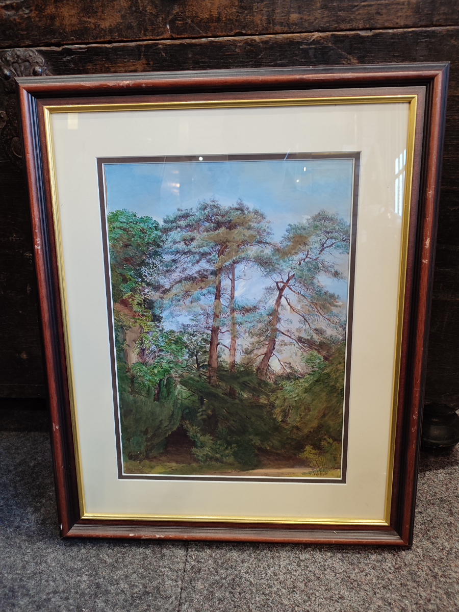 Discover our range of woodland scenes painted in delicate watercolours by skilled artists. Size: 17x21 inches. Shop now for your perfect piece of art!