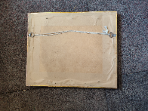 Victorian Print Of Chester City Walls.