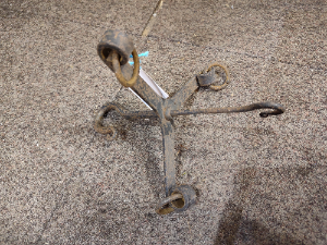 Victorian Birdhanger.