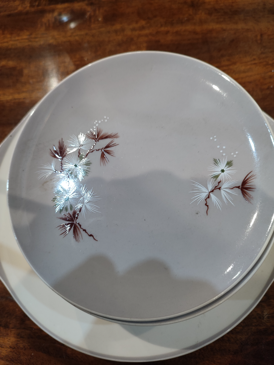 Discover our Frost Pine 24 piece tea set. Features elegant design, ideal for special occasions. Shop now to add class to your tea parties!