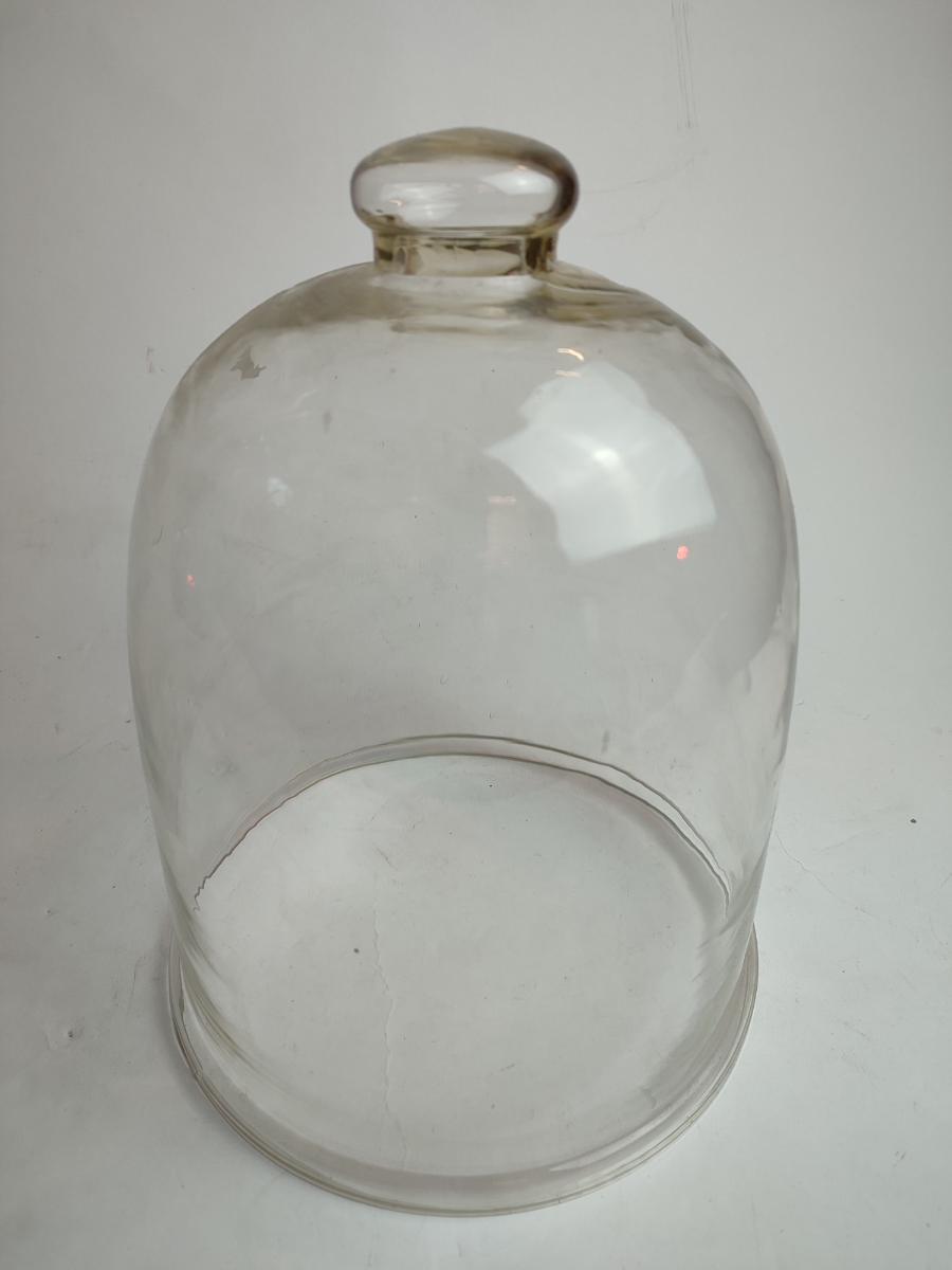 Discover our exquisite Georgian/Victorian glass domed food covers. Perfect for any occasion, it stands 28cm high and 22cm wide. Shop now and add elegance to your dining!