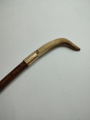 Horn Walking Stick