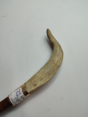 Horn Walking Stick