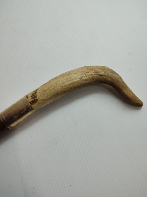 Horn Walking Stick