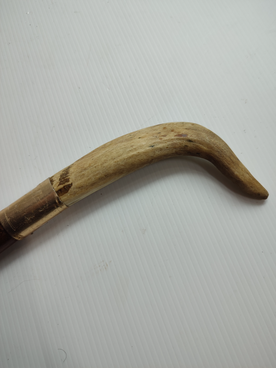 Horn Walking Stick