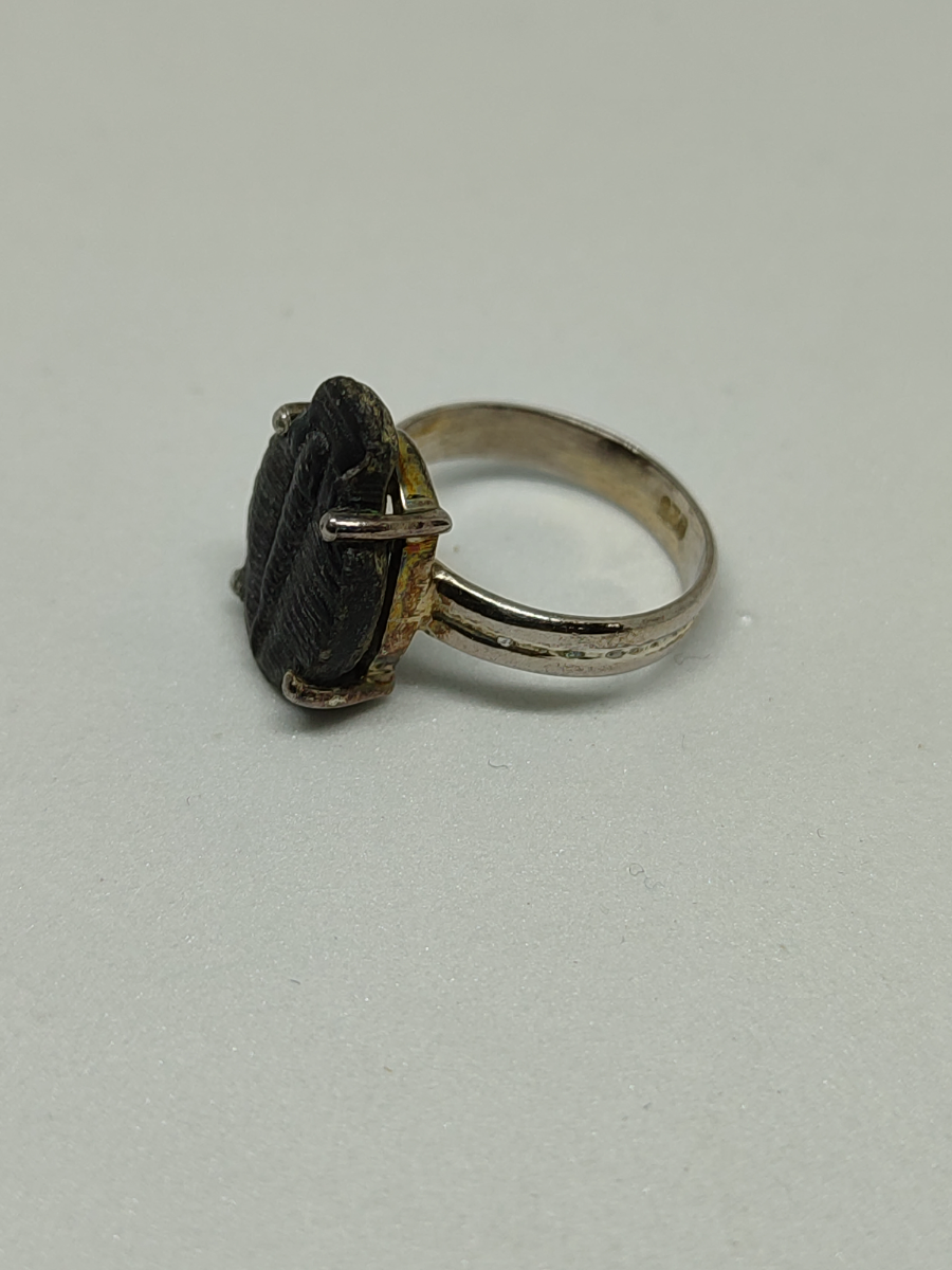 Natural Fossil Trilobite Silver Ring.