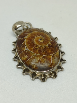 Discover our stunning silver pendant with a unique fossil ammonite. At approx. 3.5cm long, it's an elegant statement. Shop now for this exclusive piece!