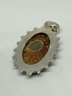 Discover our stunning silver pendant with a unique fossil ammonite. At approx. 3.5cm long, it's an elegant statement. Shop now for this exclusive piece!