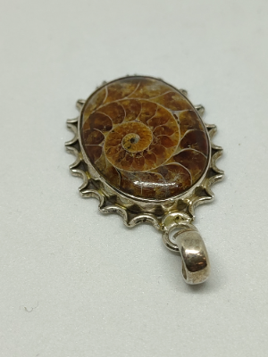 Discover our stunning silver pendant with a unique fossil ammonite. At approx. 3.5cm long, it's an elegant statement. Shop now for this exclusive piece!