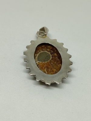 Silver Pendant with Fossil Ammonite.