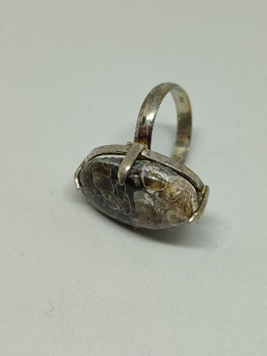 925 Silver With Turritella Fossil