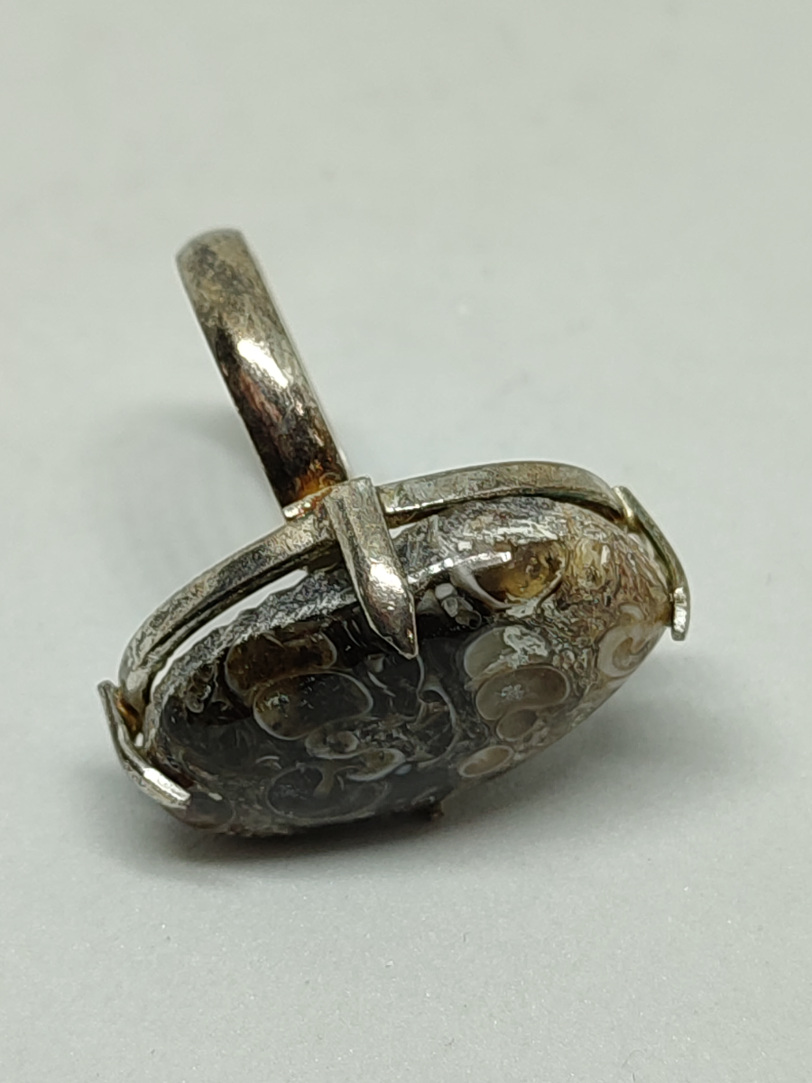 925 Silver With Turritella Fossil