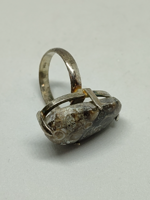 925 Silver With Turritella Fossil