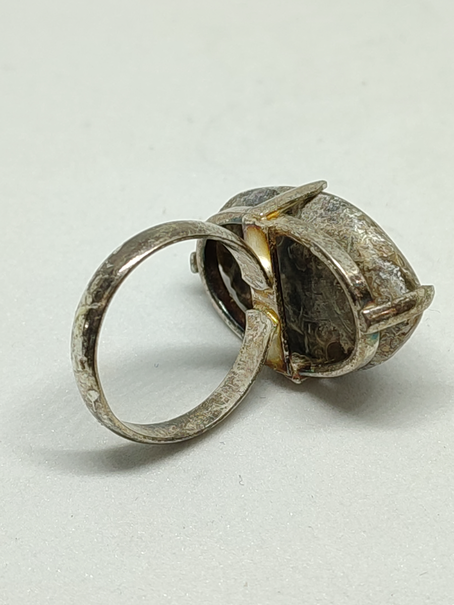 925 Silver With Turritella Fossil