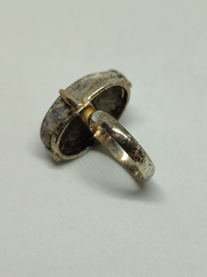 925 Silver With Turritella Fossil
