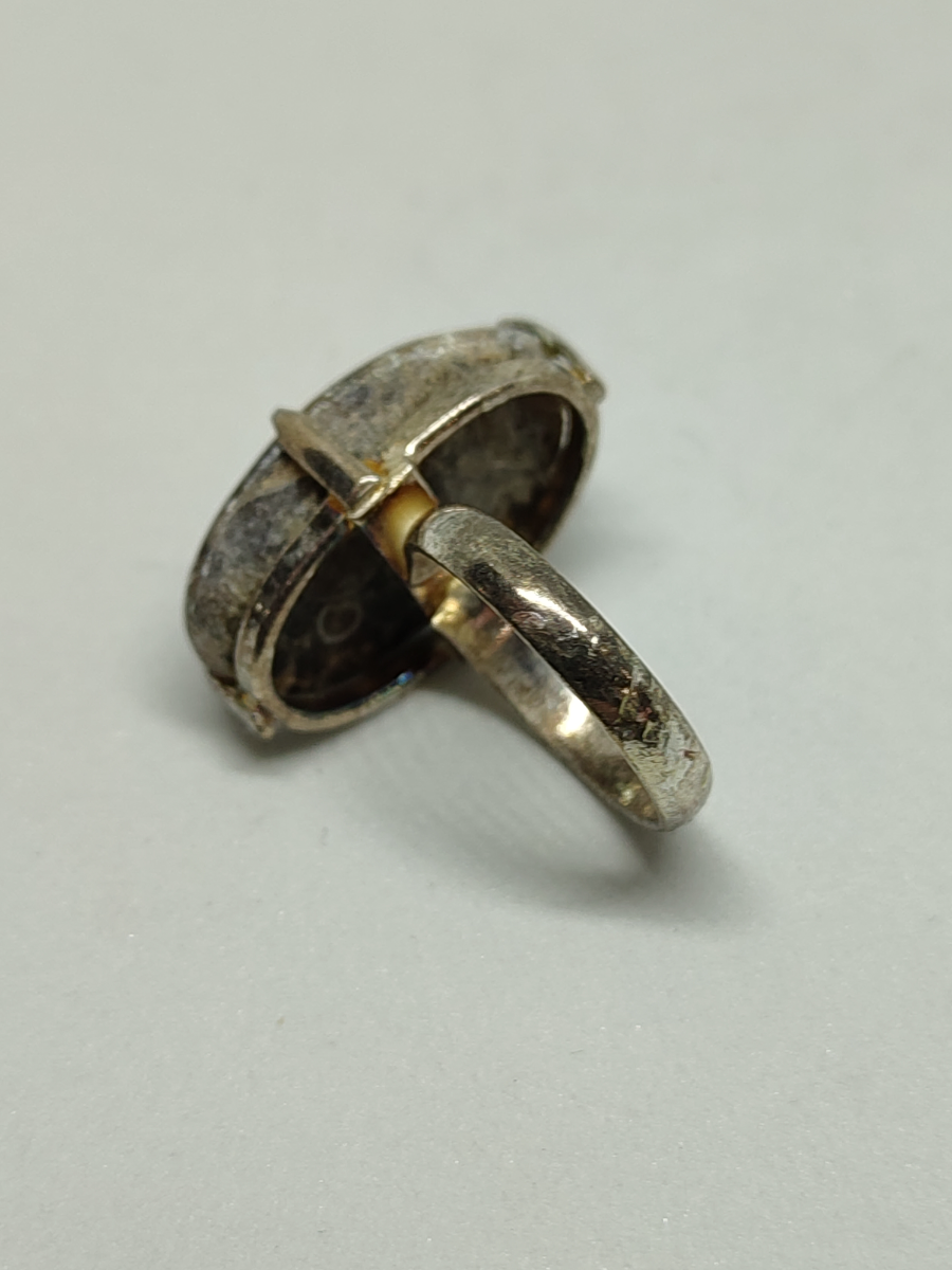 925 Silver With Turritella Fossil