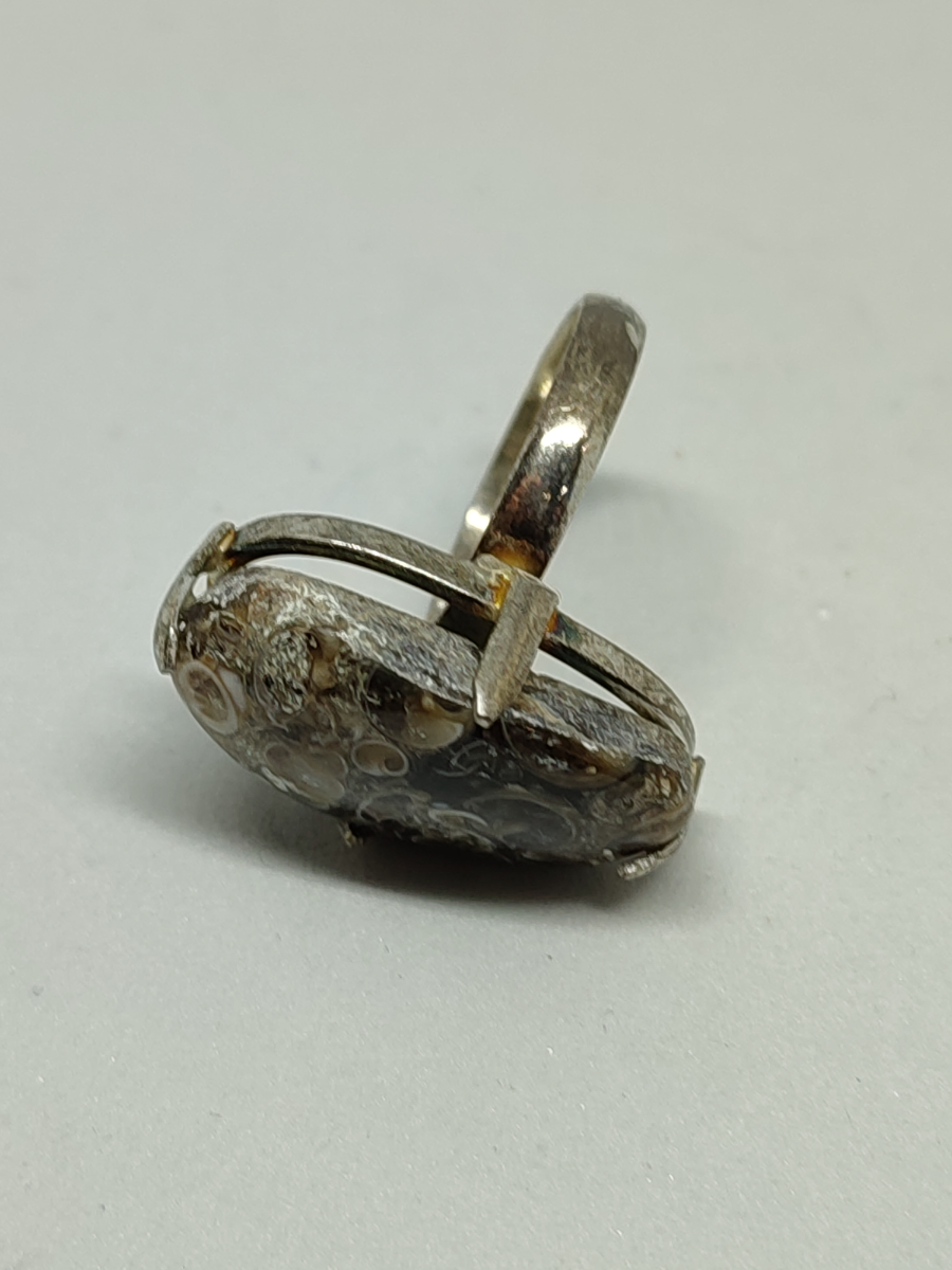 925 Silver With Turritella Fossil