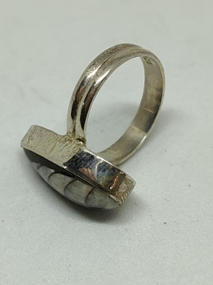 Discover our 925 silver ring featuring a unique orthoceras fossil. Weighing 3.5g, it's the perfect stylish accessory. Shop now for your new conversation piece!