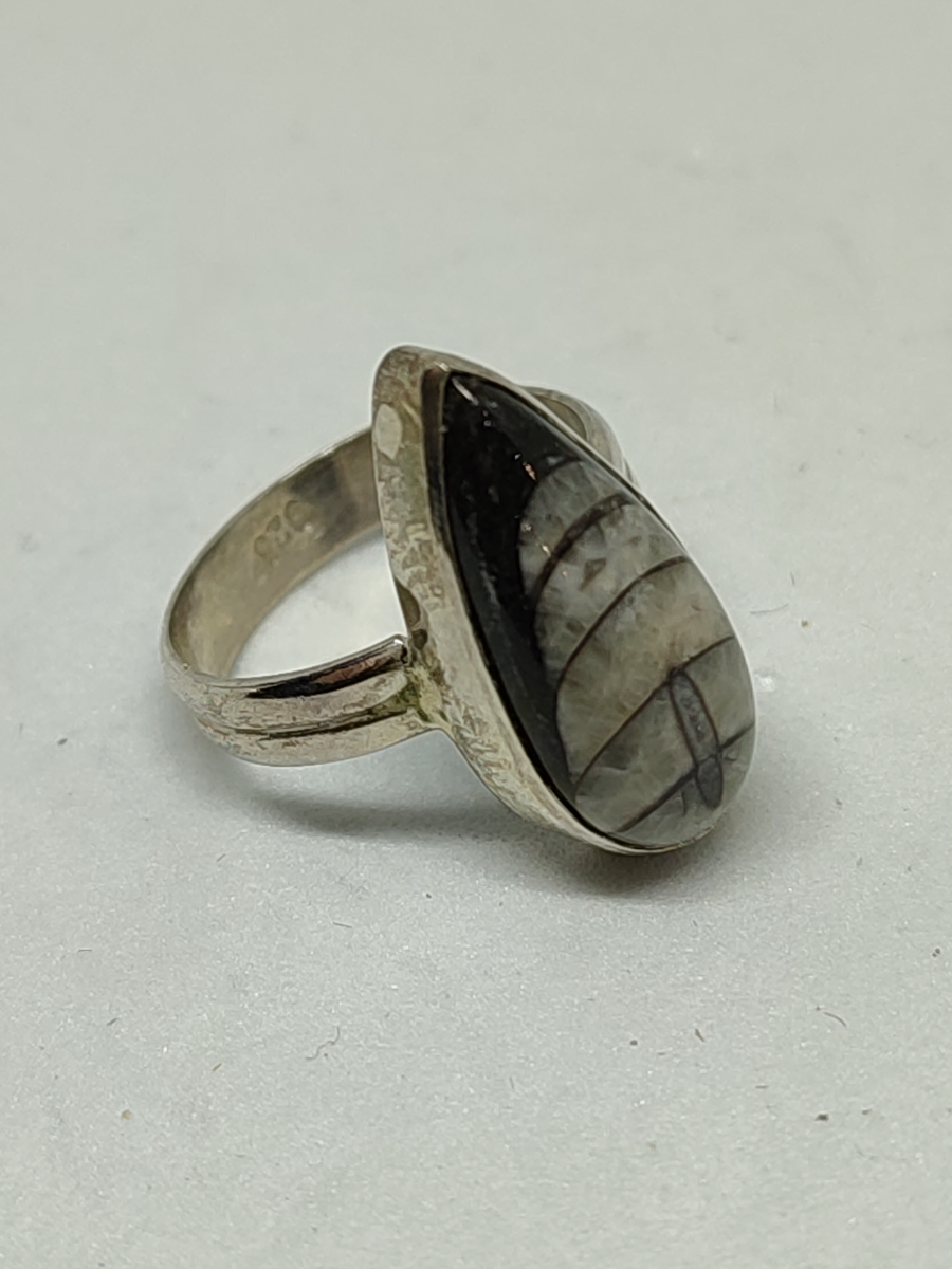 Discover our 925 silver ring featuring a unique orthoceras fossil. Weighing 3.5g, it's the perfect stylish accessory. Shop now for your new conversation piece!