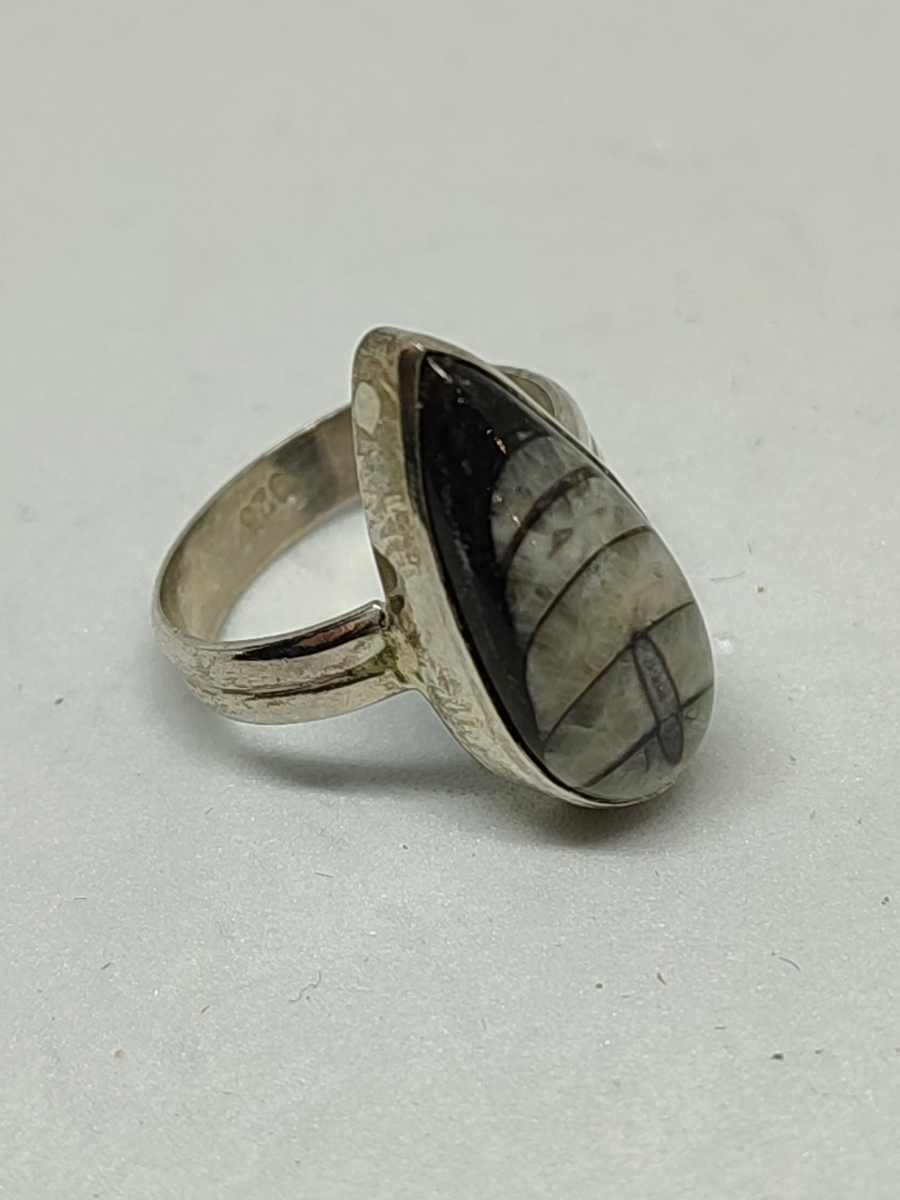 925 Silver Ring with Orthoceras