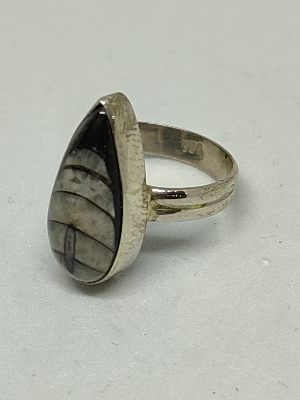 925 Silver Ring with Orthoceras