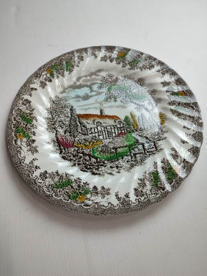 Fine Staffordshire Ware Plate