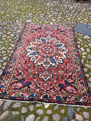 Browse our collection of Bakhtiari rugs, featuring a unique floral design and geometric borders. Measuring 50"x78". Shop now, enhance your space!