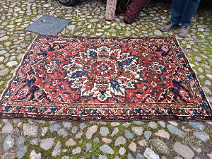 Browse our collection of Bakhtiari rugs, featuring a unique floral design and geometric borders. Measuring 50"x78". Shop now, enhance your space!