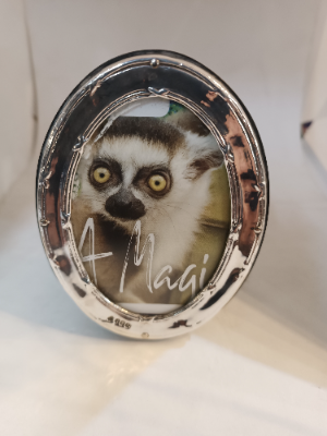 A Small  Oval  Silver Frame