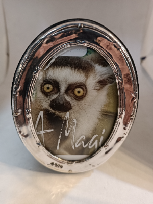A Small  Oval  Silver Frame