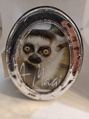 A Small  Oval  Silver Frame