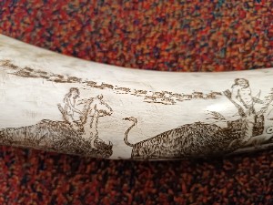 Discover unique 20th century Scrimshaw art at our store! This vintage bison hunting scene is a perfect addition to any collection. Admire its fine detail. Shop now!